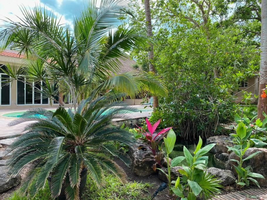 Casa Paamul Villa Playa del Carmen Luaran gambar